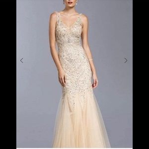 Champagne dress size Large long